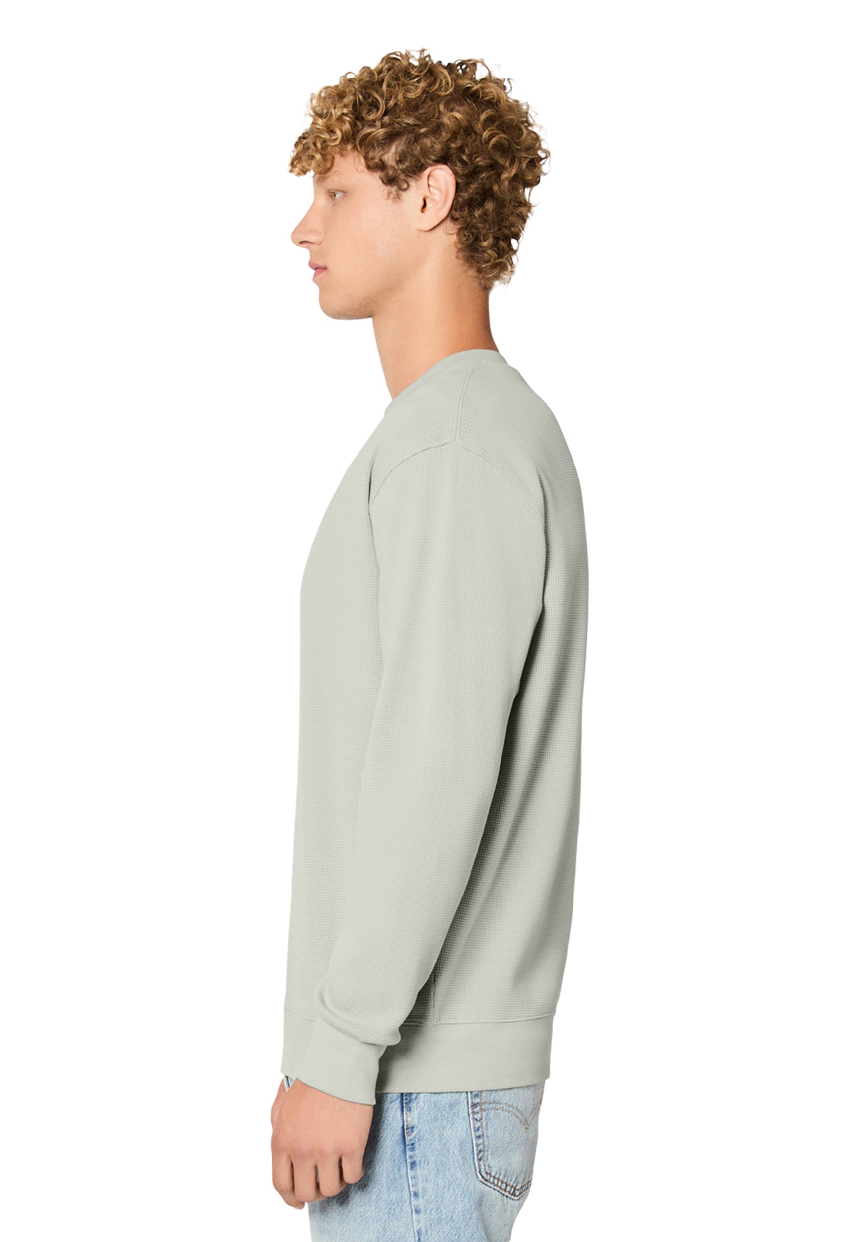 Dove Grey